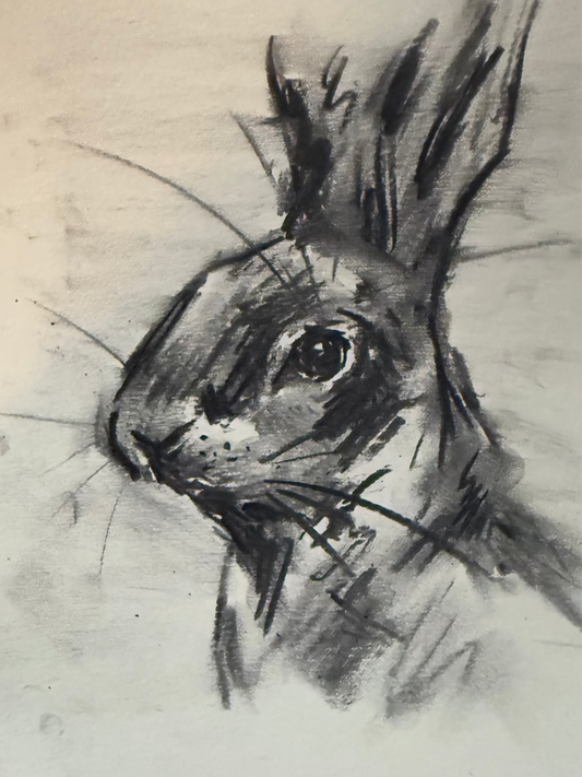 “Lunar Rabbit” - Charcoal on paper