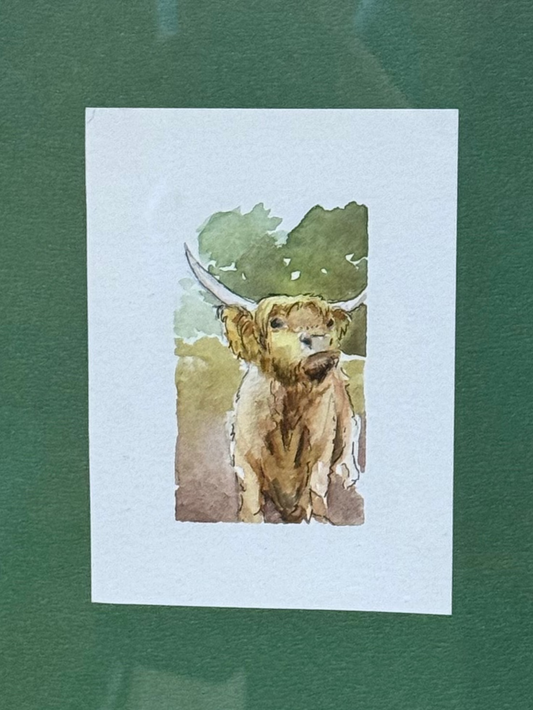 “Highland Gaze” - Watercolor on paper